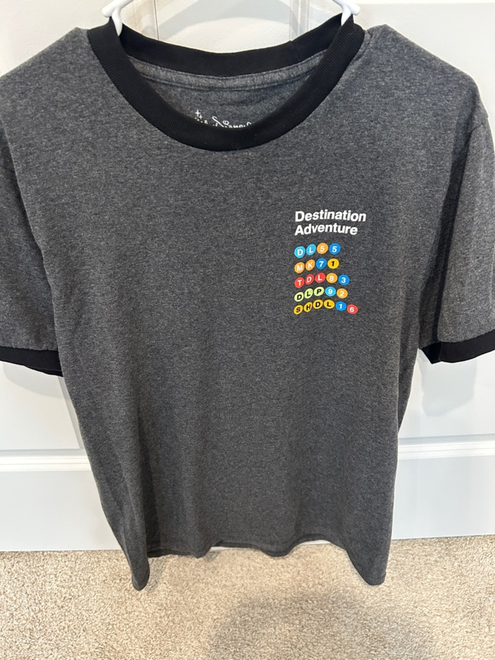 D23 Destination Adventure Gray Ringer Tee